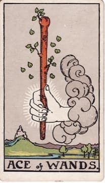 Ace of Wands tarot card